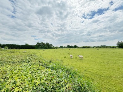 Images for Moor Lane, Woodford EAID:mosleyjaapi BID:1