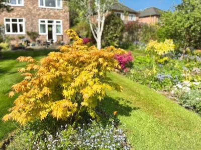 Images for Pleasant Way, Cheadle Hulme, Cheadle EAID:mosleyjaapi BID:1