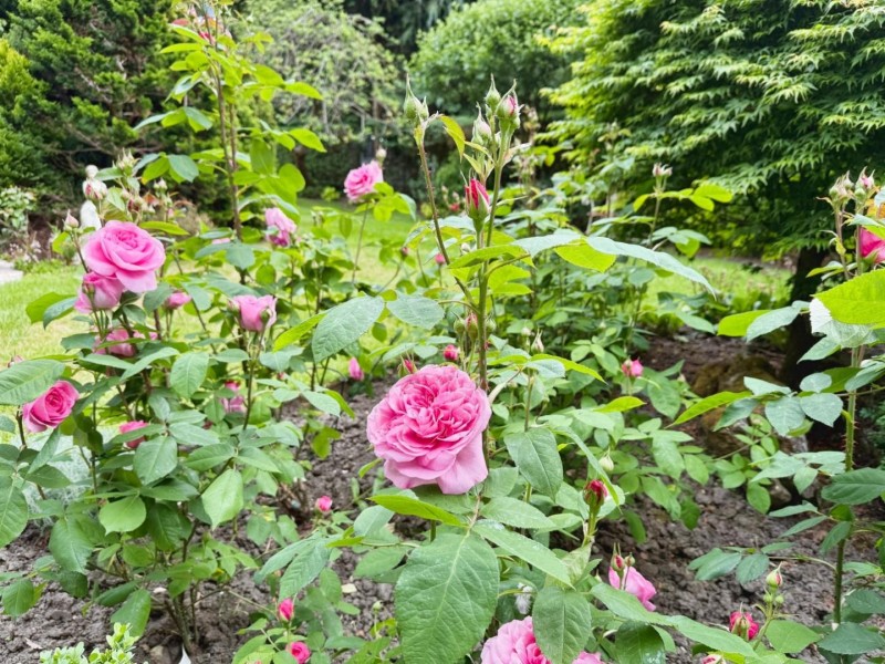 Images for Thorn Road, Bramhall