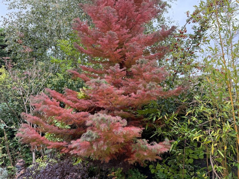 Images for Ashley Drive, Bramhall, Cheshire