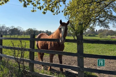 Images for The Bollin, Deanwater Drive, Woodford EAID:mosleyjaapi BID:1