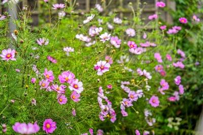 Images for Fairbourne Drive, Wilmslow EAID:mosleyjaapi BID:2