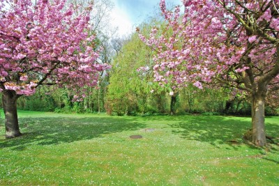 Images for Ladybrook Road, Bramhall EAID:mosleyjaapi BID:1