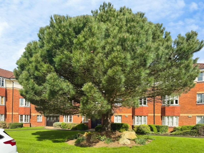 Images for Ringstead Drive, Summerfield Village Court Ringstead Drive, SK9