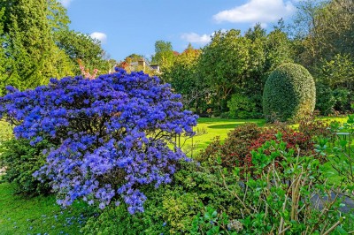 Images for 47 Trafford Road, Alderley Edge, SK9 EAID:2458577900 BID:8a55d7cc-7486-4316-8378-2d408d675aae
